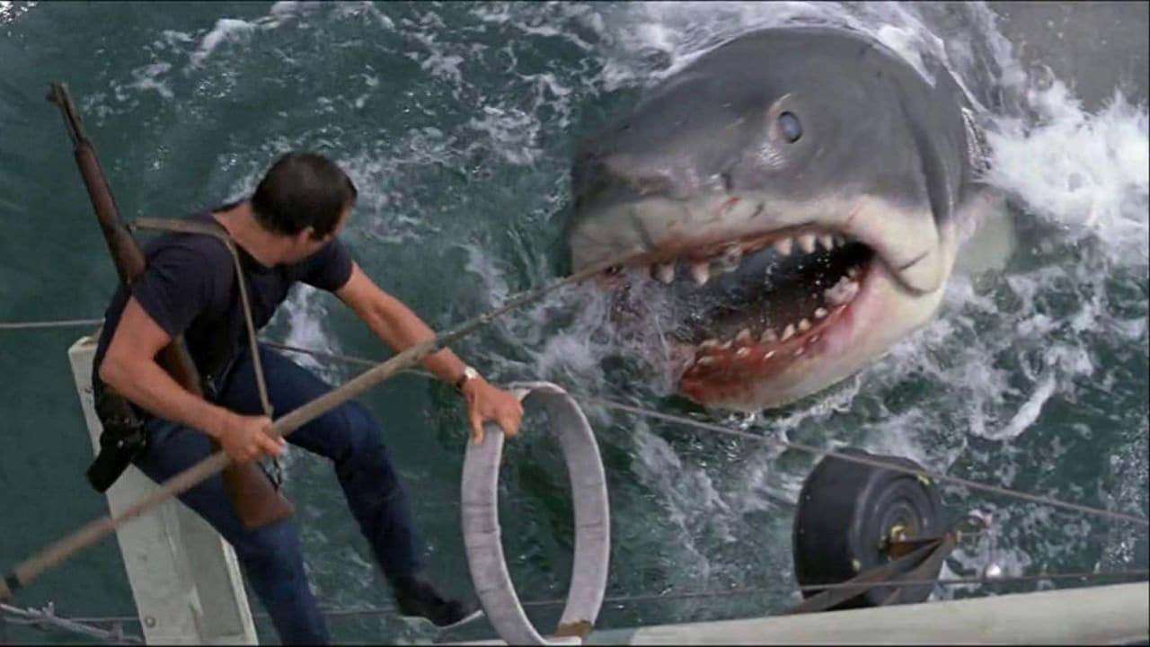 Roy Schneider goes up against the mechanical shark in Jaws
