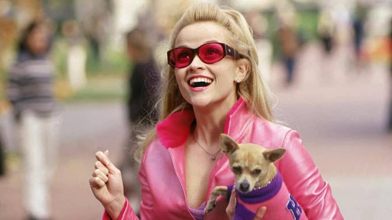 Legally Blonde Reese Witherspoon, Jessica Cauffiel, Alanna Ubach