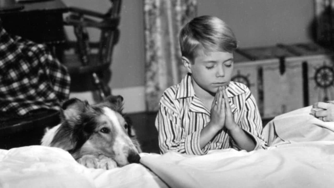 Lassie and Timmy get ready for bed.