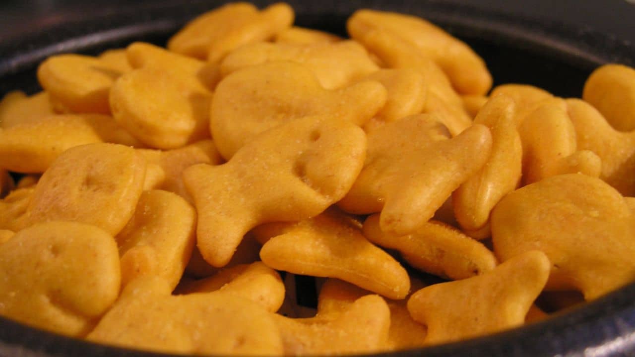 Goldfish snack crackers (cheddar flavor) in a dish.