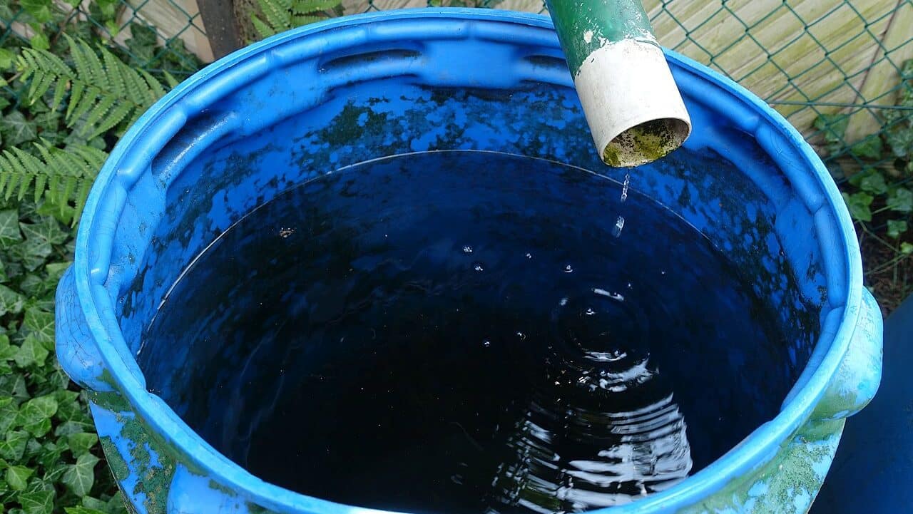 Rainwater from the roof drainage is collected in a plastic drum for plant watering